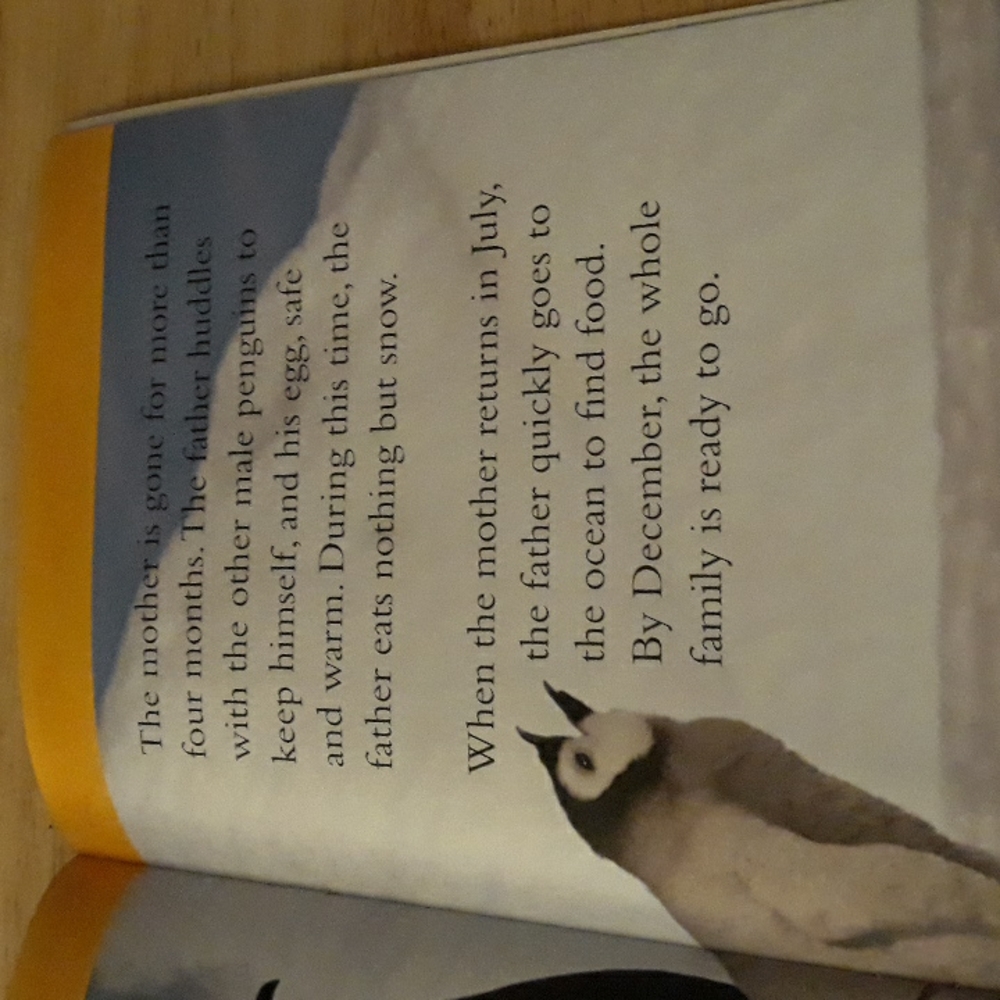 National Geographic Kids Schilastic Penguins Magazine Scienece Level 2 reader - Picture 7 of 9